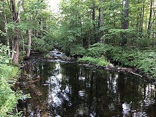 South River (Ossipee River tributary)