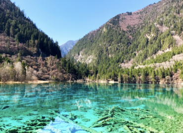 Прекрасна смарагдна езерска вода во паркот