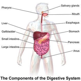 Gastrointestinal disease Medical condition