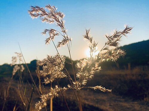 A blurred sunset Photograph: Elias Amram