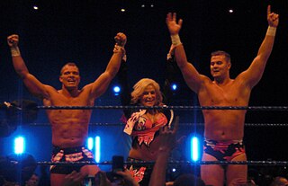 <span class="mw-page-title-main">The Hart Dynasty</span> Professional wrestling stable