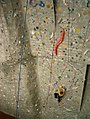 Indoor-Kletterwand