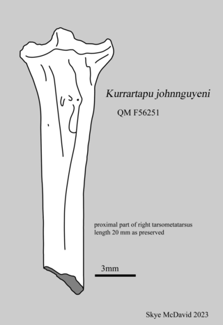 <i>Kurrartapu</i> Extinct genus of birds