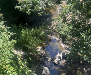 <span class="mw-page-title-main">Lafayette Creek (California)</span> Stream in Contra Costa County