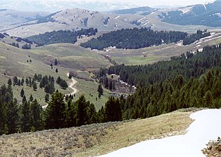 <span class="mw-page-title-main">Beaverhead–Deerlodge National Forest</span> National Forests in Montana, United States