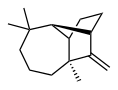 Longifolene, found in terpentine