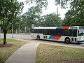 A METRO Bus on Cullen Boulevard/Un autobús de METRO en Cullen Boulevard