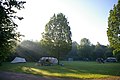 Natuurkampeerterrein (campsite) De Dasselaar near Zeewolde