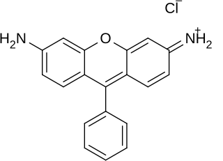 <span class="mw-page-title-main">Rhodamine</span> Family of derivatives of xanthene used as dyes, indicators and fluorescent tracers