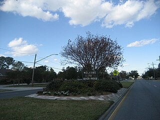 <span class="mw-page-title-main">River Ridge, Louisiana</span> Census-designated place in Louisiana, United States