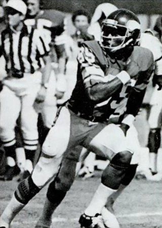 <span class="mw-page-title-main">Sammy White (American football)</span> American football player (born 1954)