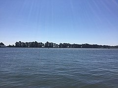 The Sacramento River in Rio Vista, California.jpg