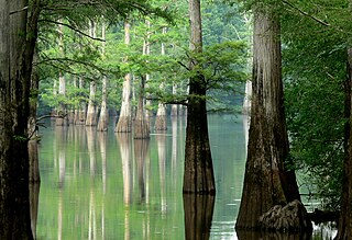 <span class="mw-page-title-main">White River (Arkansas–Missouri)</span> River in the US