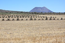 Llanura en Zempola al centro sur del estado.