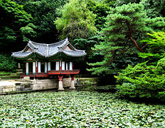 Changdeokgung Garden, Seoul, South Korea