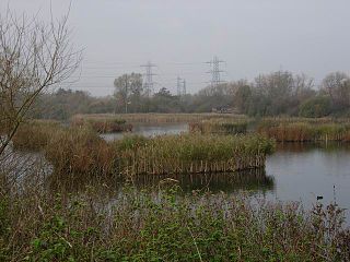 <span class="mw-page-title-main">Turnford and Cheshunt Pits</span>