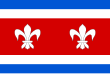 Vlag