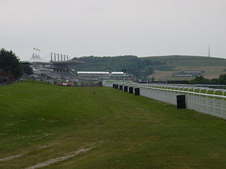 <span class="mw-page-title-main">Goodwood Racecourse</span> Horse racing venue in England