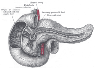 Freys procedure