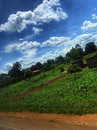 <span class="mw-page-title-main">Kiryandongo District</span> District in Western Uganda, Uganda