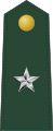 Brigadier general (Liberian Ground Forces)[29]