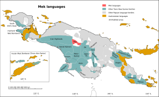 <span class="mw-page-title-main">Mek languages</span> Trans–New Guinea language branch