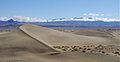 Death Valley Ulusal Parkı'ndaki Mesquite Düz Kumulları.