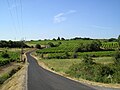 Un extrait du parcours collinéen et viticole autour de Murviel.