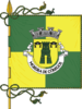 Flag of Moreira de Cónegos