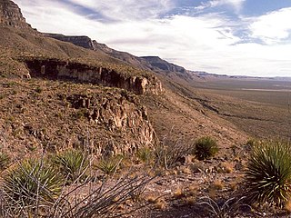 <span class="mw-page-title-main">Sacramento Mountains (New Mexico)</span> Mountain range