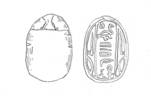 Scarab seal of Shenshek. Egyptian Museum (TD-6160[50])