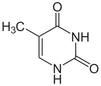 Strukturformel von Thymin
