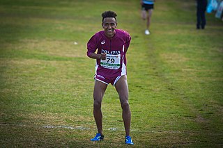 <span class="mw-page-title-main">Yemaneberhan Crippa</span> Italian long-distance runner