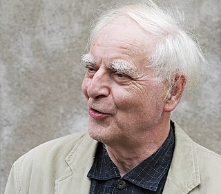 <span class="mw-page-title-main">Adolf Muschg</span> Swiss writer and professor of literature