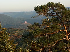 4.1.06 Burg Berwartstein