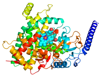 <span class="mw-page-title-main">CYP4F2</span> Enzyme protein in the species Homo sapiens