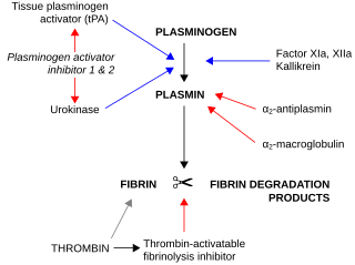 <span class="mw-page-title-main">Plasminogen activator</span>