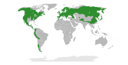 Mapa světového rozšíření rodu