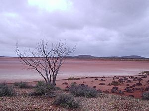 Lake Gairdner