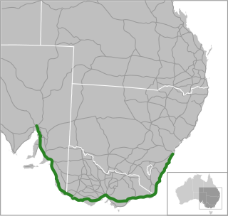 <span class="mw-page-title-main">Princes Highway</span> Highway in Australia