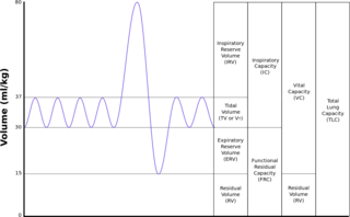 <span class="mw-page-title-main">Pulmonary function testing</span> Test to evaluate respiratory system