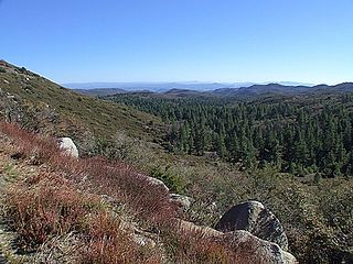 <span class="mw-page-title-main">Cleveland National Forest</span> Southernmost National forest of California