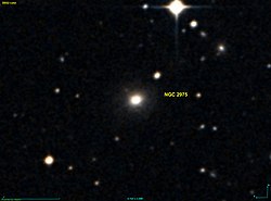 NGC 2975