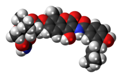 Space-filling model of the novobiocin molecule