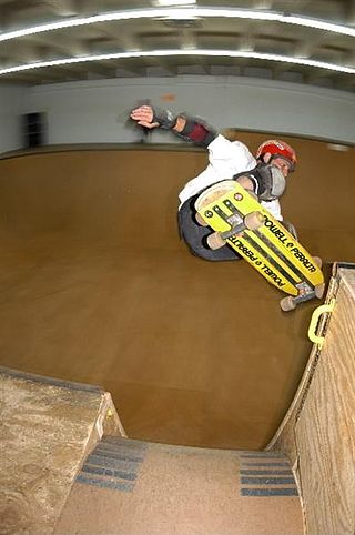 <span class="mw-page-title-main">Alan Gelfand</span> American skateboarder and Entrepreneur (born January 1st 1963)