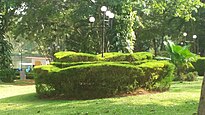 Pilikula Botanical Garden - Pruned bushes alongside the lights