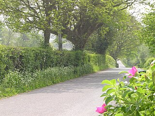 <span class="mw-page-title-main">Ram Hill</span> Human settlement in England