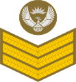 SAA-OR-7.svg