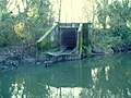 An assumed surface water storm drain discharging into the river.