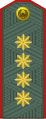 Armiya generali (Uzbek Ground Forces)[24]